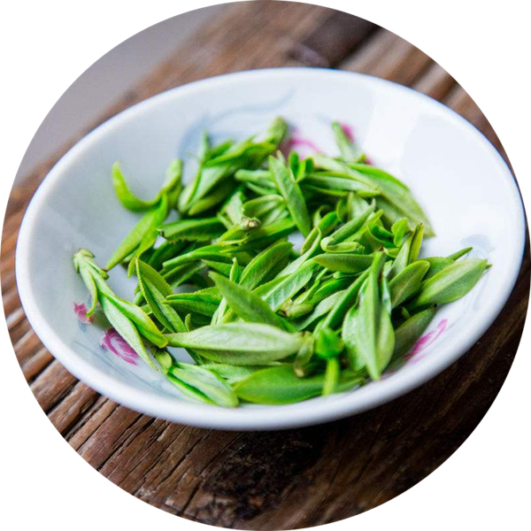 Green Tea leaf Extract Solution Plant Extract Liquid 赣州华汉生物科技有限公司